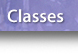 lorrie herman nav bar classes